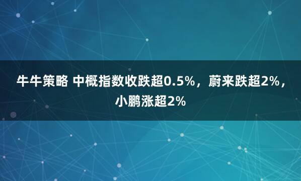 牛牛策略 中概指数收跌超0.5%，蔚来跌超2%，小鹏涨超2%
